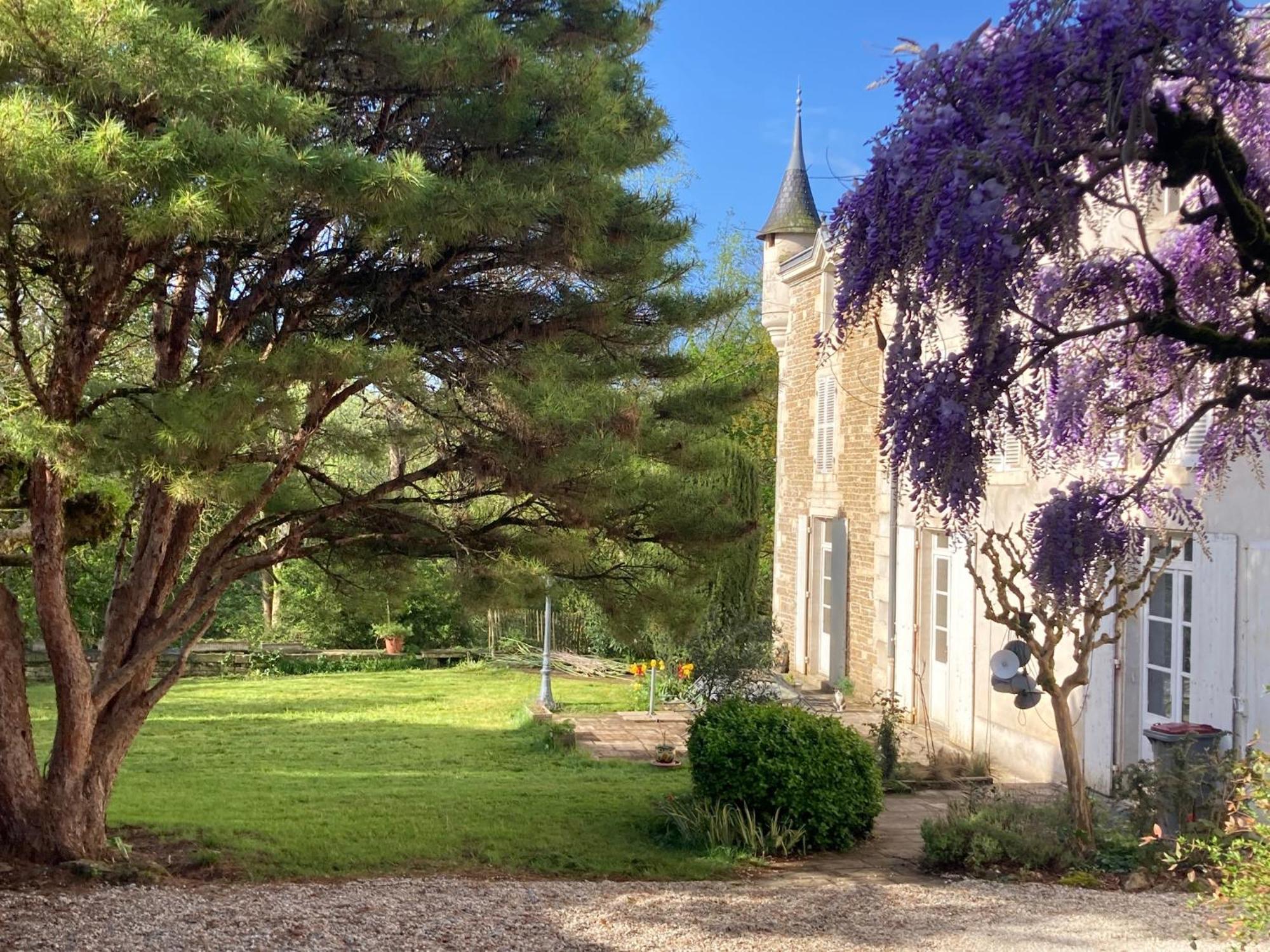 Mazette! Le Chateau Niort Eksteriør billede